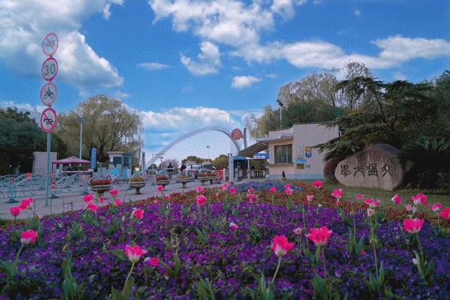 想不出标题系列完整版,想不出标题系列