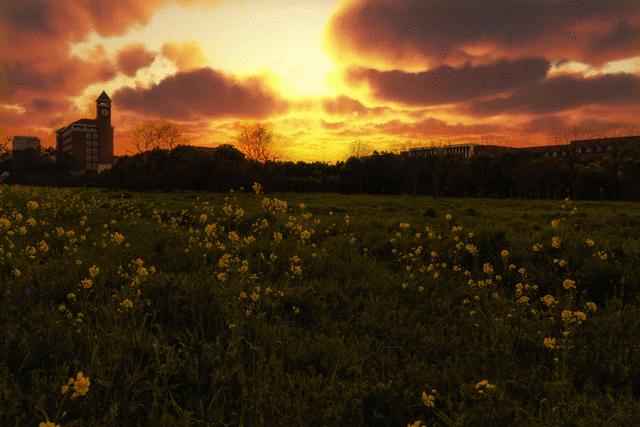 想不出标题系列完整版,想不出标题系列