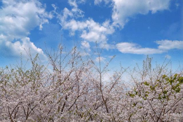 想不出标题系列完整版,想不出标题系列