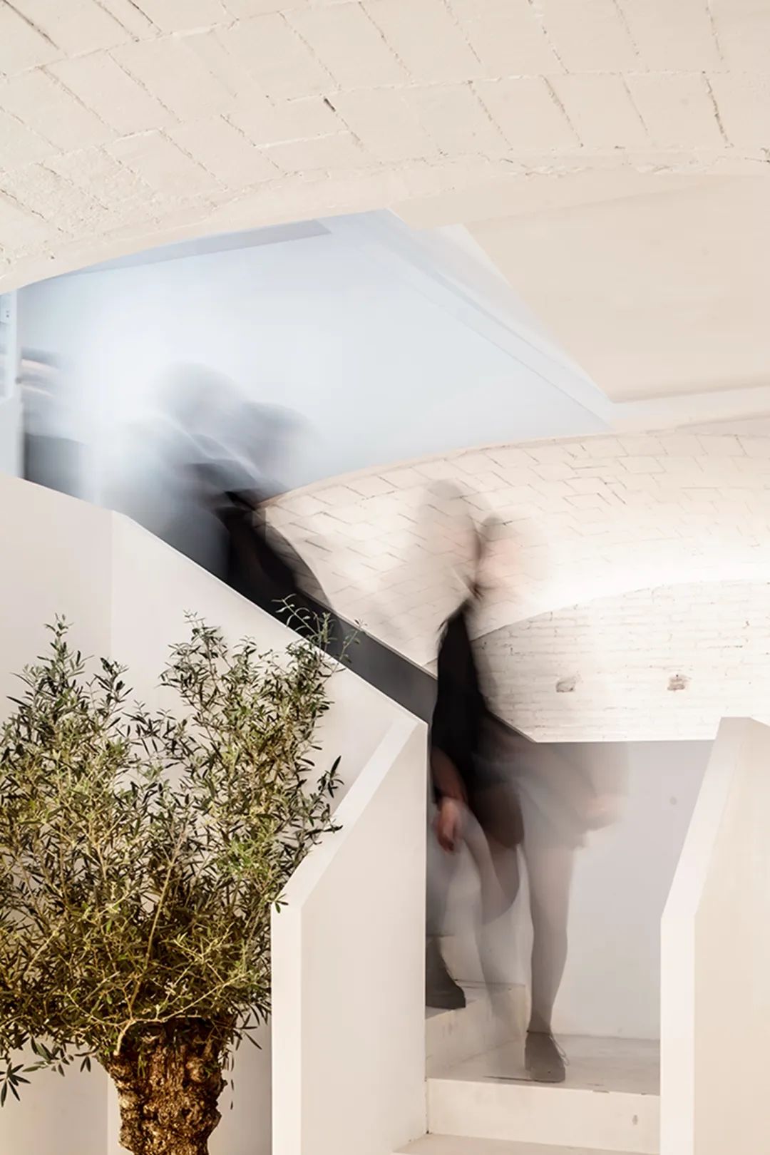 巴塞罗那香水店,巴塞罗那香水铺