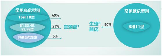 湖南怀化hpv疫苗放号时间,湖南hpv疫苗接种记录怎么查