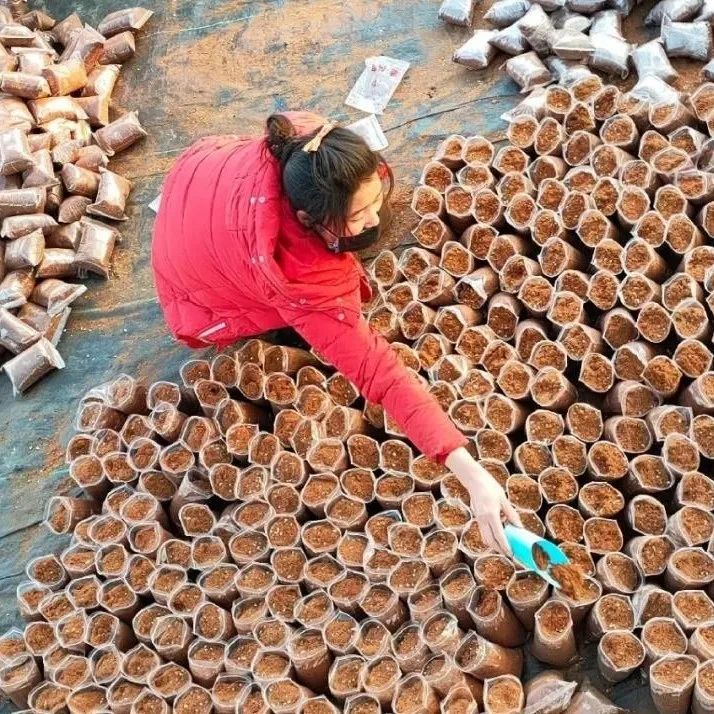 国务院通报表扬沭阳,沭阳县被表彰