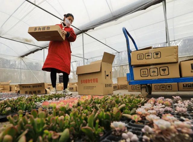 国务院通报表扬沭阳,沭阳县被表彰