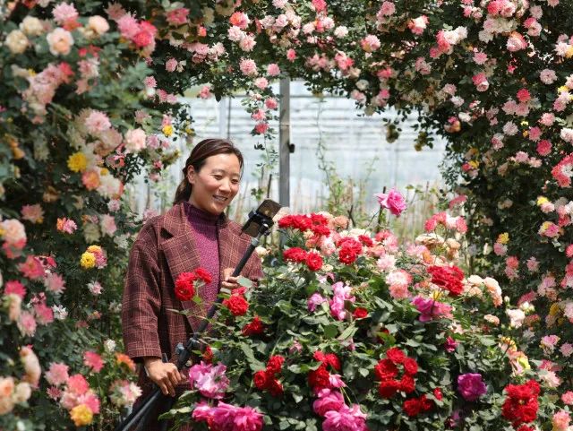 国务院通报表扬沭阳,沭阳县被表彰