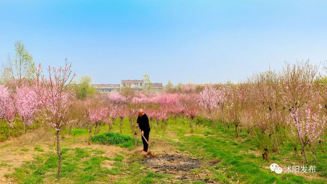 国务院通报表扬沭阳,沭阳县被表彰