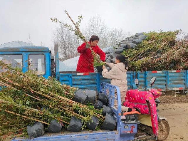 国务院通报表扬沭阳,沭阳县被表彰