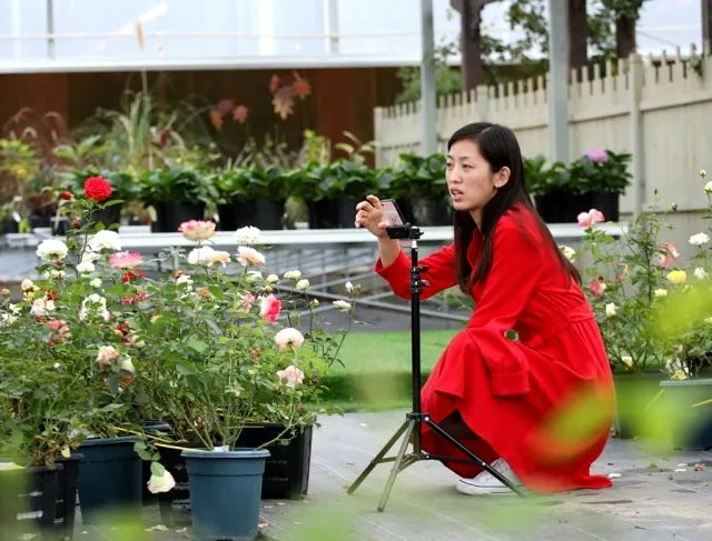 国务院通报表扬沭阳,沭阳县被表彰