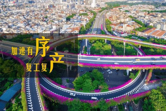 和丁真一样纯真,和丁真一样的主播