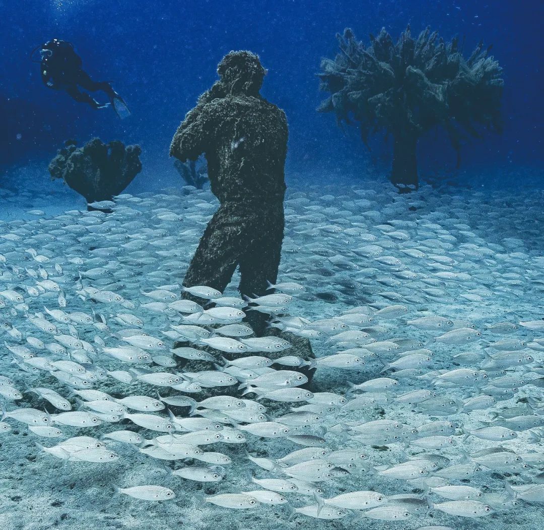 中国水下博物馆,水下博物馆深度解析