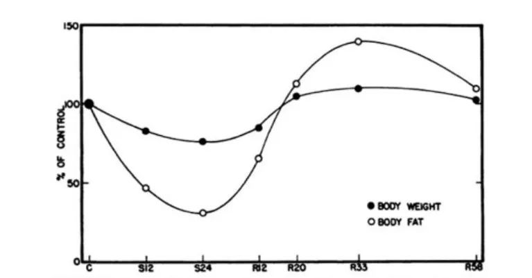 节食减肥饥荒效应,饥饿试验节食减肥后遗症