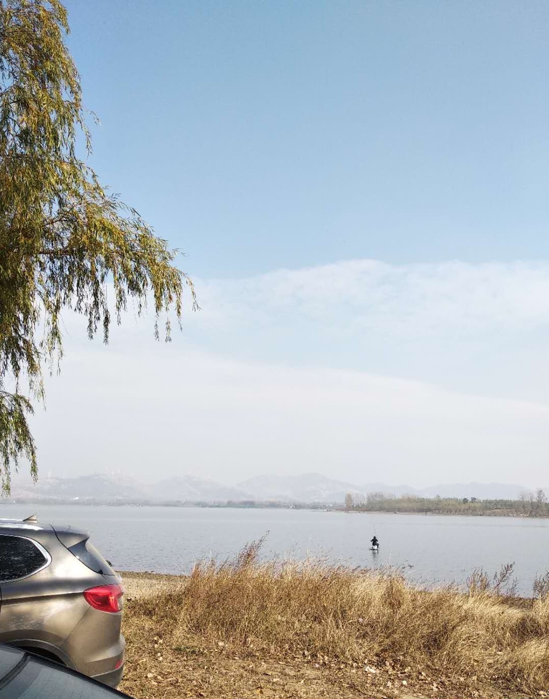 打窝怎么打才能聚鱼,哪种打窝方法最诱鱼