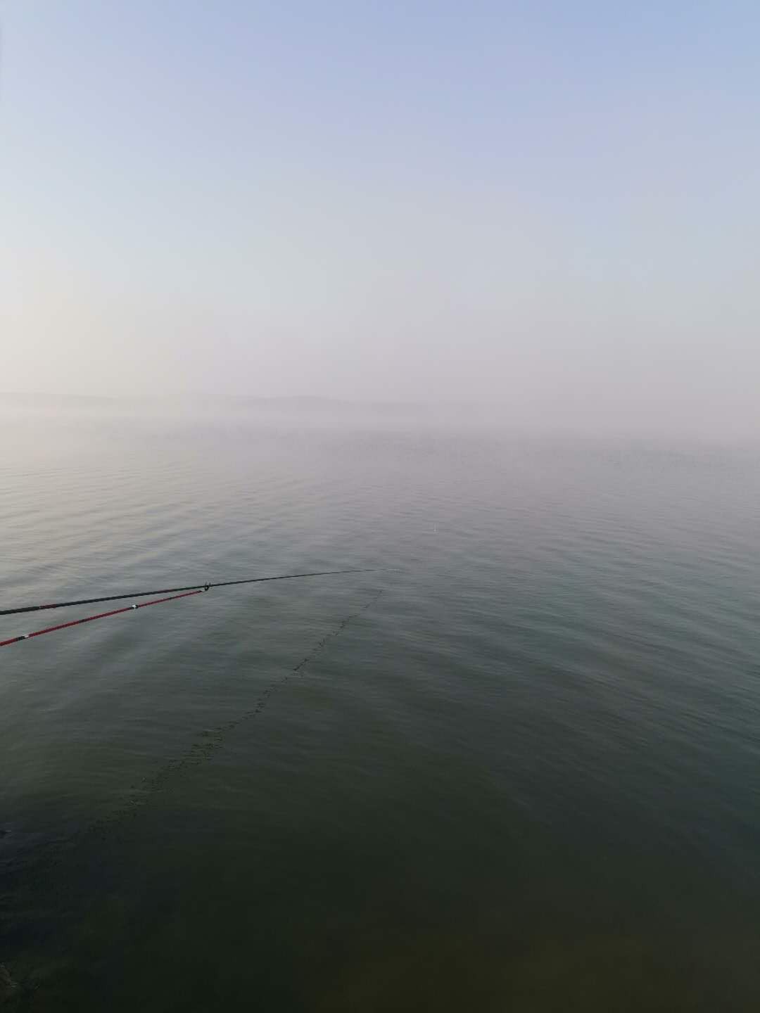 打窝怎么打才能聚鱼,哪种打窝方法最诱鱼