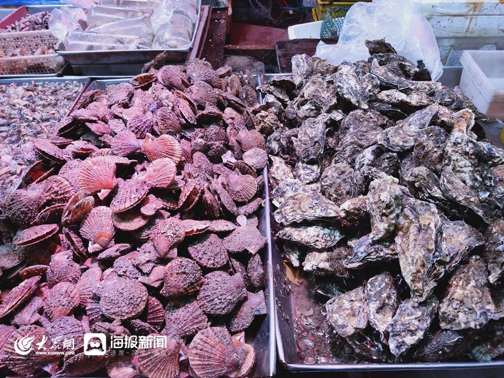 封海前必吃的两种海鲜,青岛封海还有海鲜吃吗