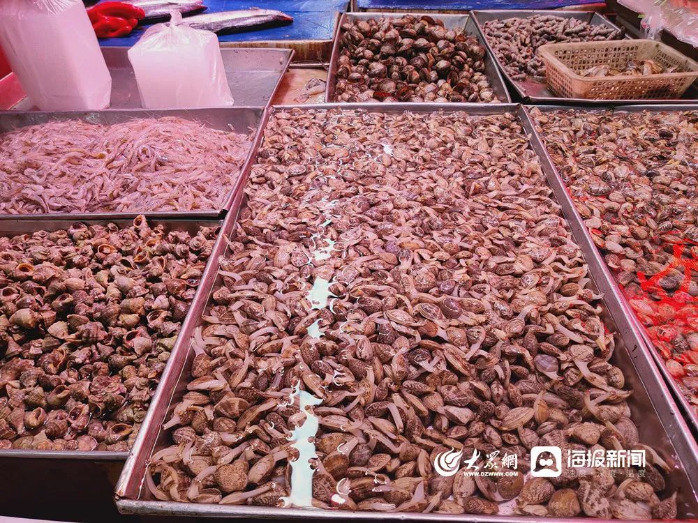 封海前必吃的两种海鲜,青岛封海还有海鲜吃吗