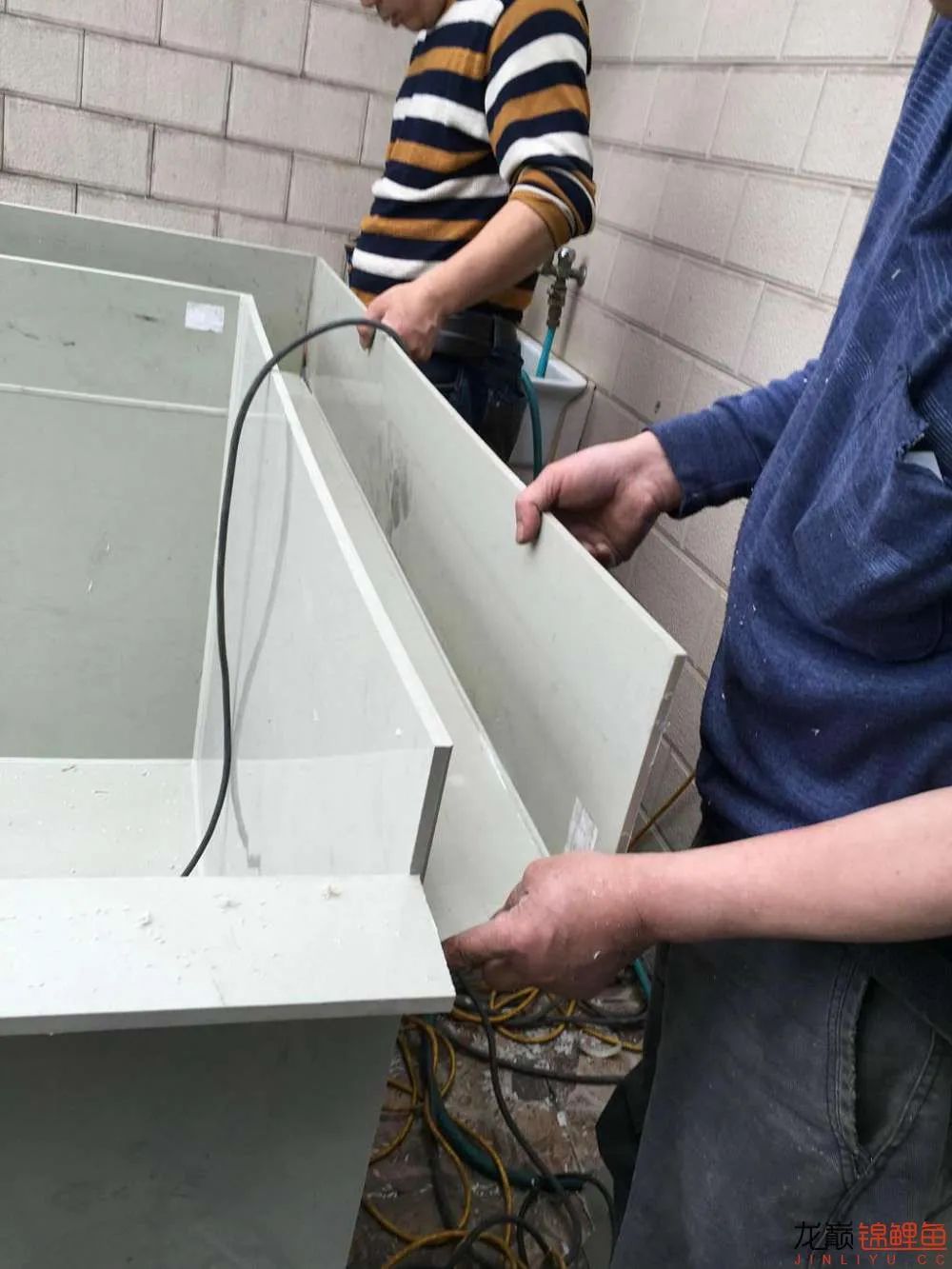 迷上鲤鱼精，露台安家2.5立方锦鲤池，生活设施一应俱全