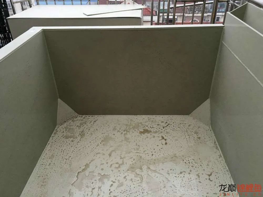 迷上鲤鱼精，露台安家2.5立方锦鲤池，生活设施一应俱全