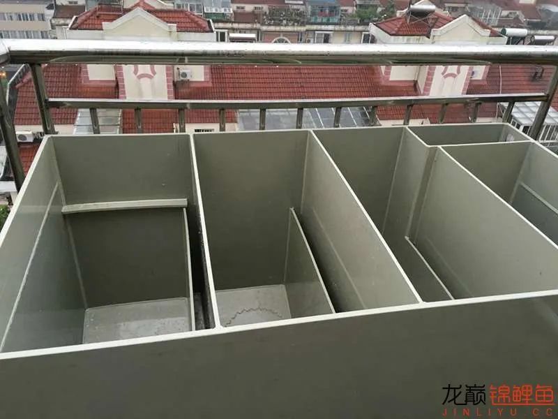 迷上鲤鱼精，露台安家2.5立方锦鲤池，生活设施一应俱全