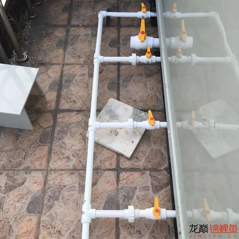 迷上鲤鱼精，露台安家2.5立方锦鲤池，生活设施一应俱全