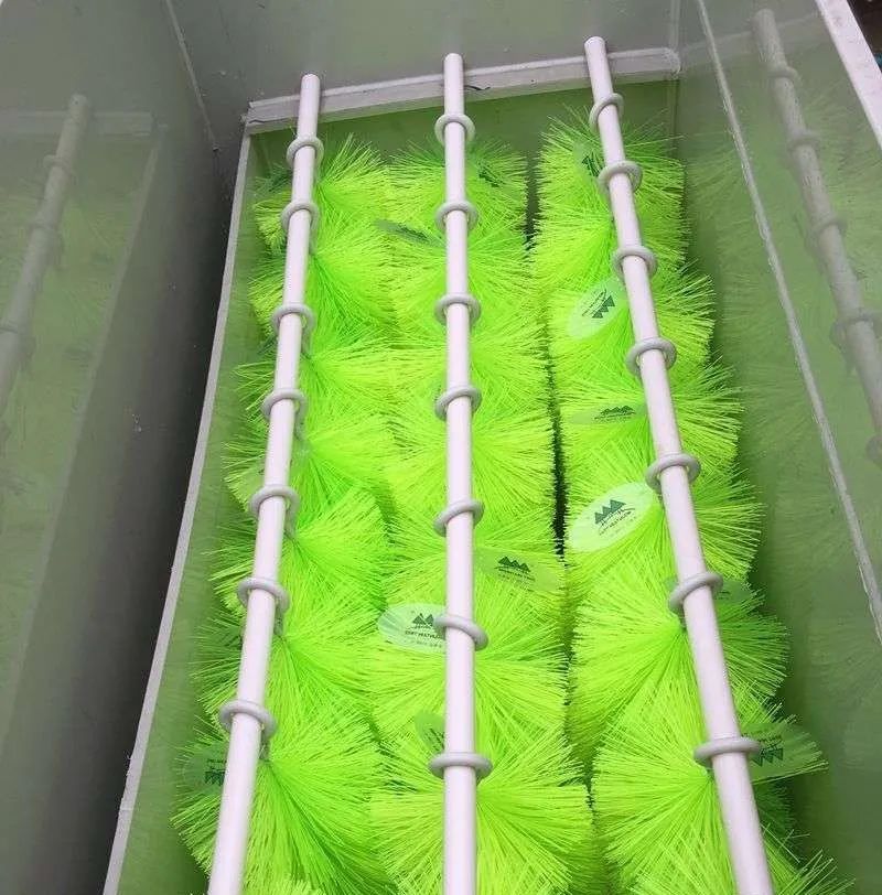 迷上鲤鱼精，露台安家2.5立方锦鲤池，生活设施一应俱全