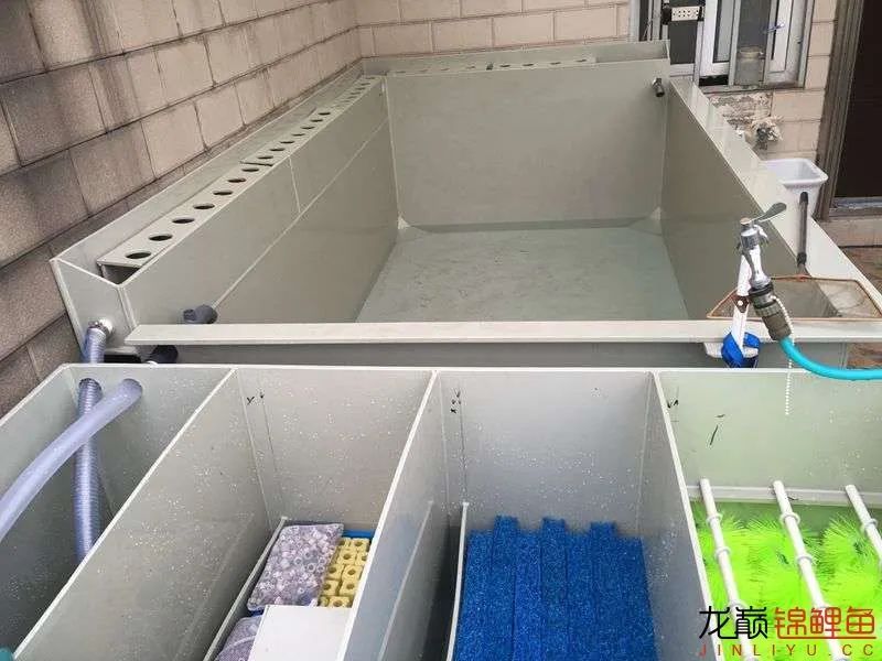 迷上鲤鱼精，露台安家2.5立方锦鲤池，生活设施一应俱全