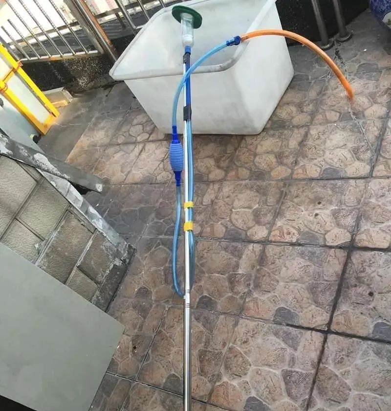 迷上鲤鱼精，露台安家2.5立方锦鲤池，生活设施一应俱全