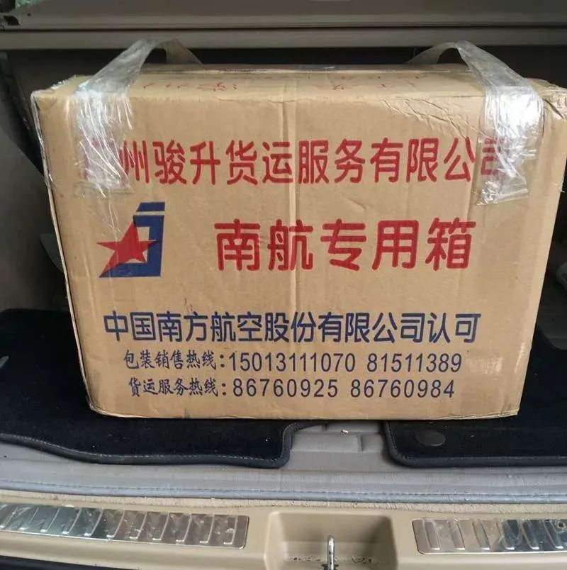 迷上鲤鱼精，露台安家2.5立方锦鲤池，生活设施一应俱全