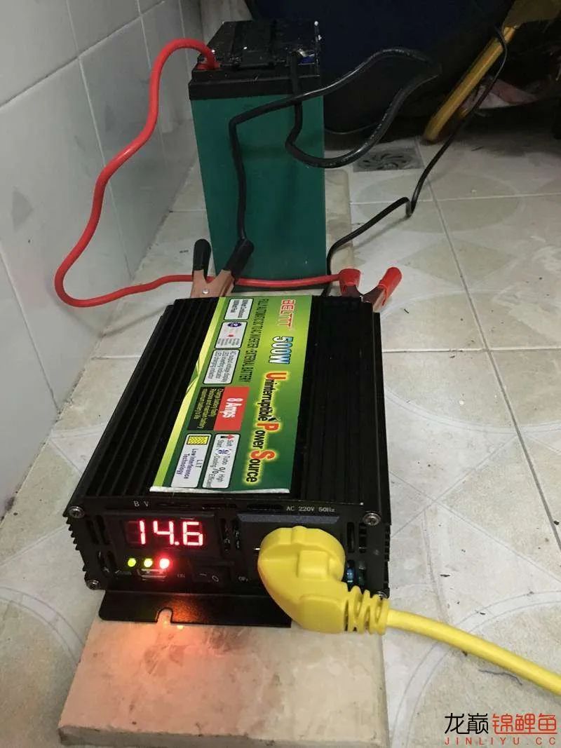 迷上鲤鱼精，露台安家2.5立方锦鲤池，生活设施一应俱全