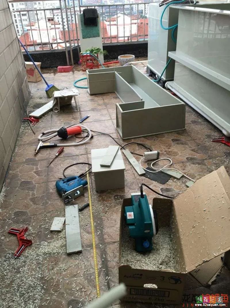 迷上鲤鱼精，露台安家2.5立方锦鲤池，生活设施一应俱全