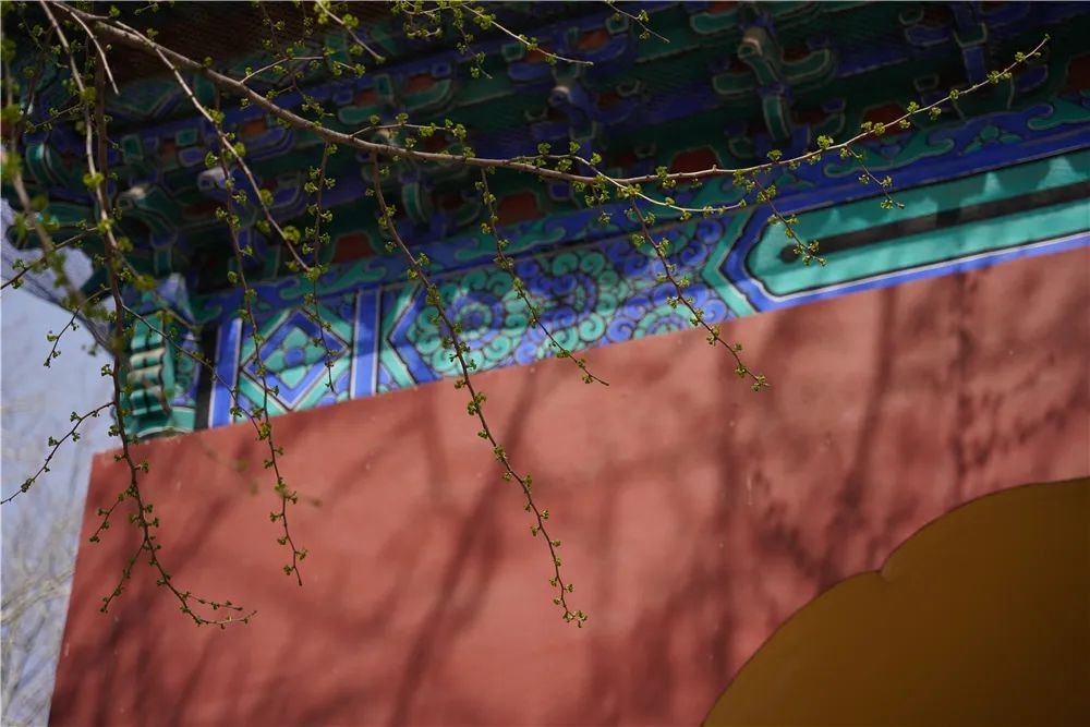 适马无反150-600镜头,适马24-70f2.8dhsm测评