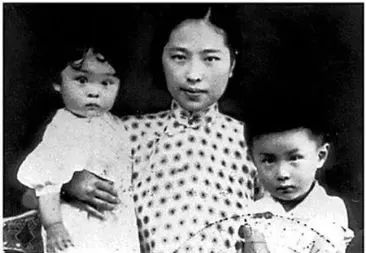 沈从文和张兆和的爱情故事,沈从文张兆和的爱情简介