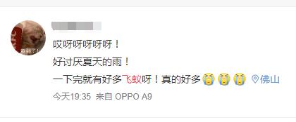 太多多多……了！最近很多人被吓得不敢开灯，只因它们又来“空袭”