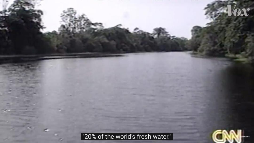 三个月砍掉20个曼哈顿，一年砍掉一个国家，亚马逊已经到了最危急的时候