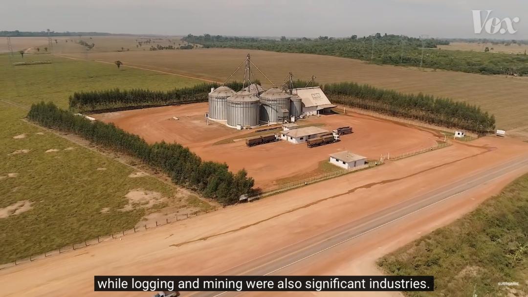 三个月砍掉20个曼哈顿，一年砍掉一个国家，亚马逊已经到了最危急的时候