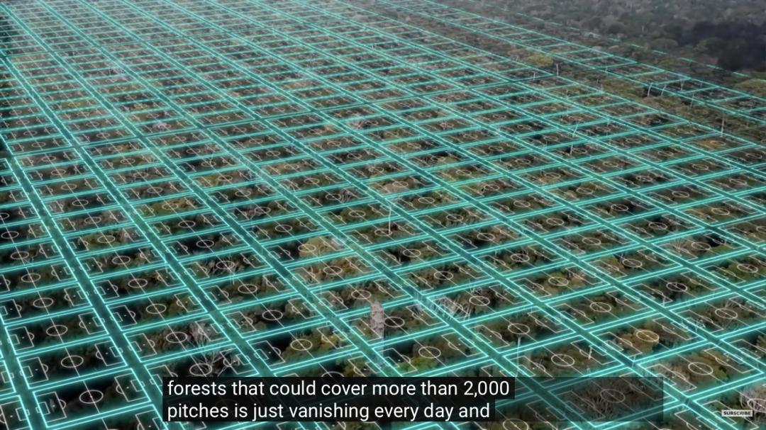 三个月砍掉20个曼哈顿，一年砍掉一个国家，亚马逊已经到了最危急的时候