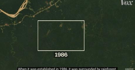 三个月砍掉20个曼哈顿，一年砍掉一个国家，亚马逊已经到了最危急的时候