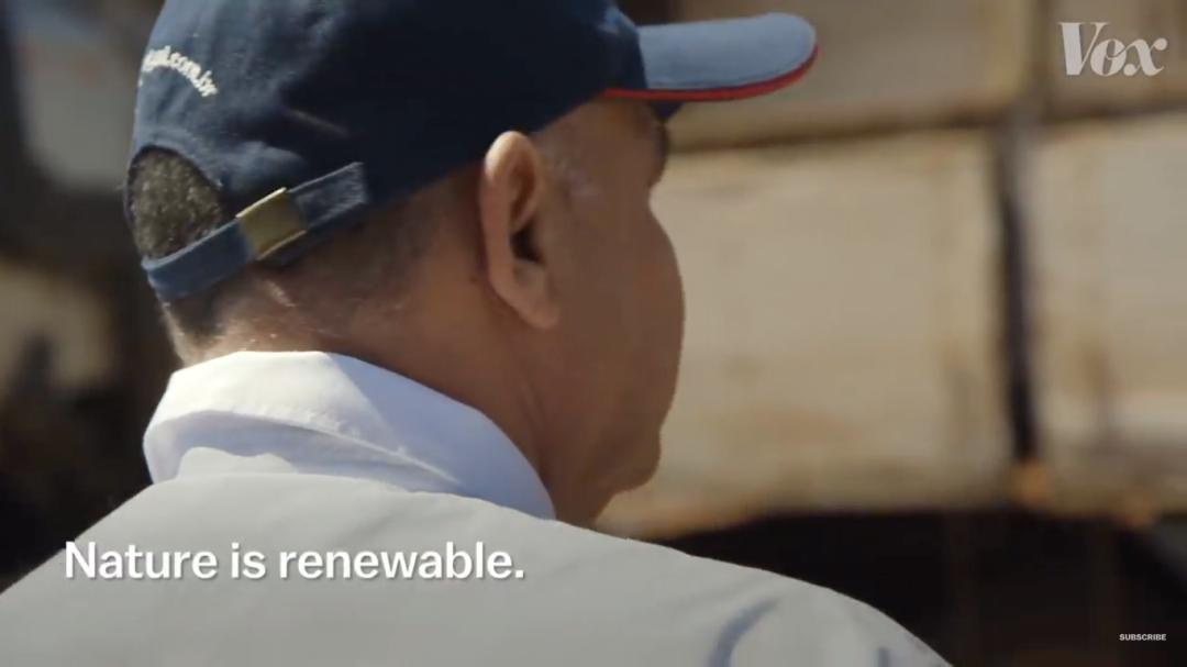 三个月砍掉20个曼哈顿，一年砍掉一个国家，亚马逊已经到了最危急的时候