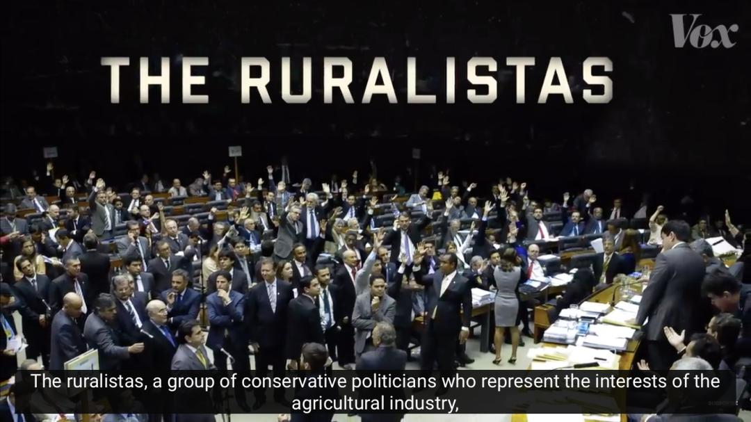 三个月砍掉20个曼哈顿，一年砍掉一个国家，亚马逊已经到了最危急的时候