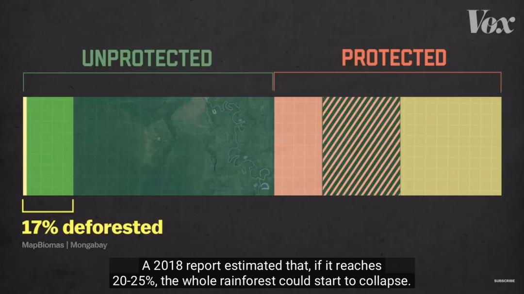 三个月砍掉20个曼哈顿，一年砍掉一个国家，亚马逊已经到了最危急的时候