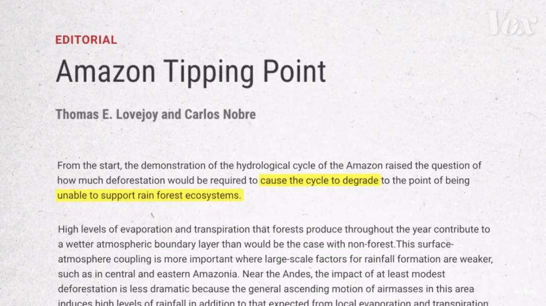 三个月砍掉20个曼哈顿，一年砍掉一个国家，亚马逊已经到了最危急的时候