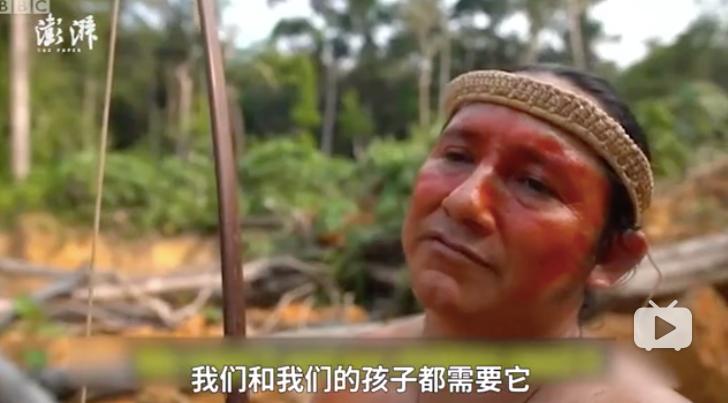 三个月砍掉20个曼哈顿，一年砍掉一个国家，亚马逊已经到了最危急的时候