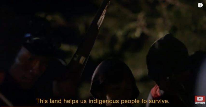 三个月砍掉20个曼哈顿，一年砍掉一个国家，亚马逊已经到了最危急的时候