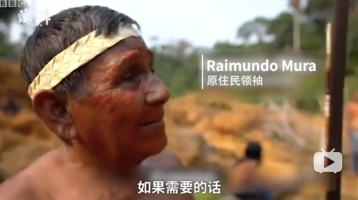 三个月砍掉20个曼哈顿，一年砍掉一个国家，亚马逊已经到了最危急的时候