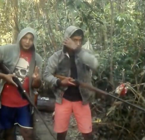 三个月砍掉20个曼哈顿，一年砍掉一个国家，亚马逊已经到了最危急的时候