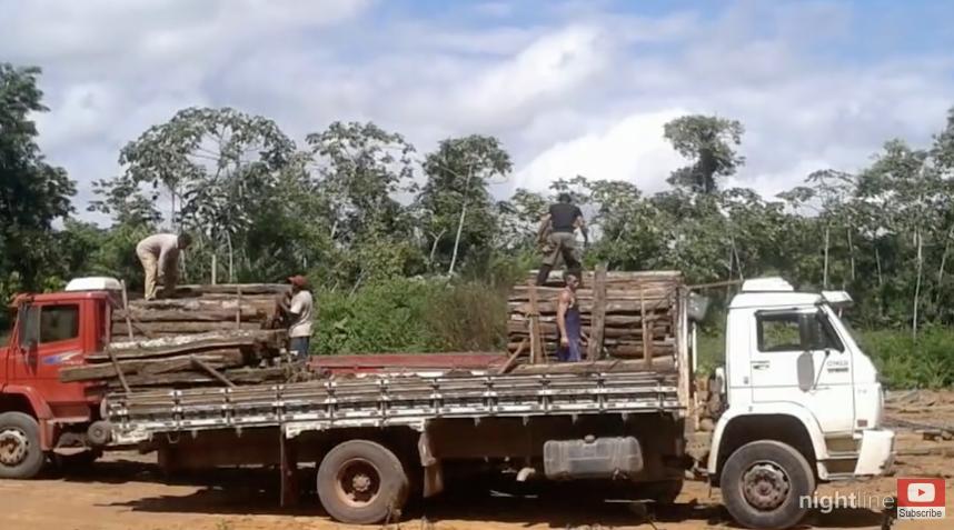 三个月砍掉20个曼哈顿，一年砍掉一个国家，亚马逊已经到了最危急的时候