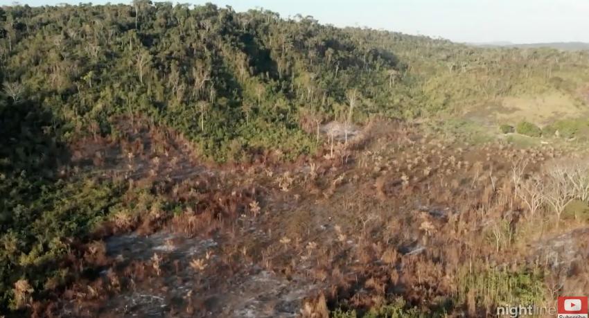 三个月砍掉20个曼哈顿，一年砍掉一个国家，亚马逊已经到了最危急的时候