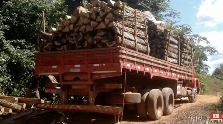 三个月砍掉20个曼哈顿，一年砍掉一个国家，亚马逊已经到了最危急的时候