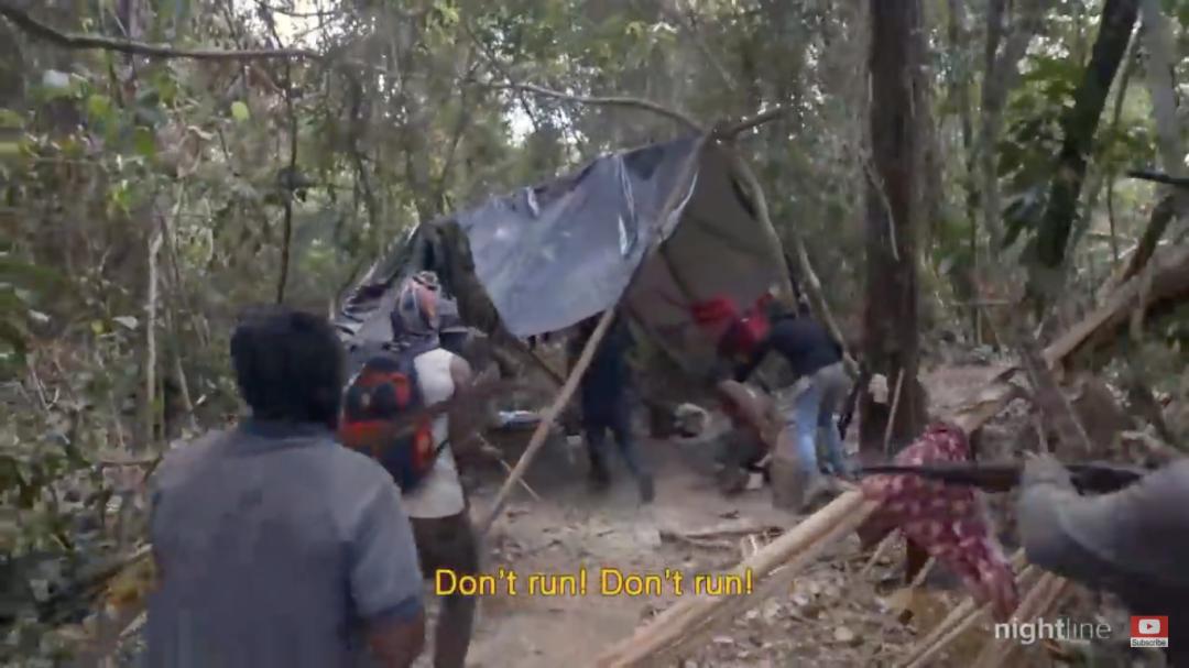 三个月砍掉20个曼哈顿，一年砍掉一个国家，亚马逊已经到了最危急的时候