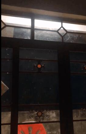 太多多多……了！最近很多人被吓得不敢开灯，只因它们又来“空袭”