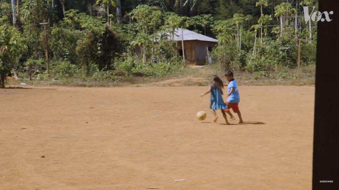 三个月砍掉20个曼哈顿，一年砍掉一个国家，亚马逊已经到了最危急的时候