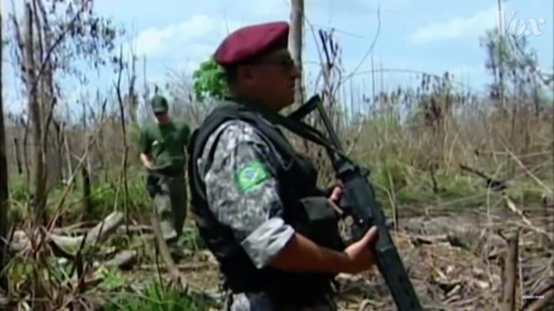 三个月砍掉20个曼哈顿，一年砍掉一个国家，亚马逊已经到了最危急的时候